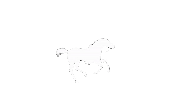 Running horse animation loading